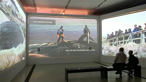 Our Future is Deep in the Ocean | Royal Ontario Museum