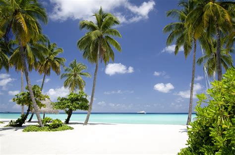 Landscaping Resorts – Hotelier Maldives