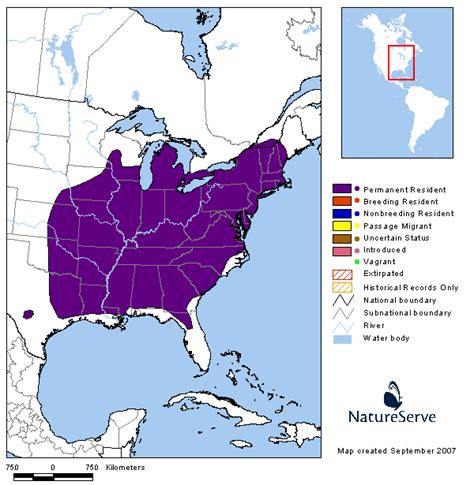 Tennessee Watchable Wildlife | Woodland Vole