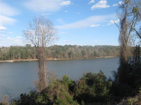 Overhead on Lake Eufaula Alabama | cassiegerman | Flickr