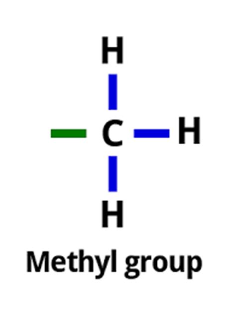 Histamine, Methylation, and MTHFR | Judy Tsafrir, M.D.