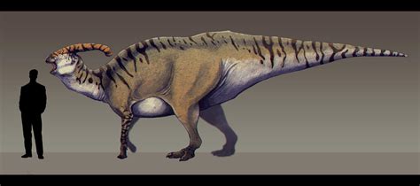 Parasaurolophus walkeri by Paleocolour on DeviantArt