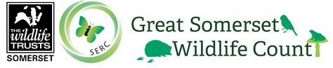 Great somerset wildlife count logo - Somerset Environmental Records Centre