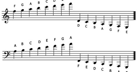 How To Read Bass Clef Ledger Lines | Bass Clef Notes