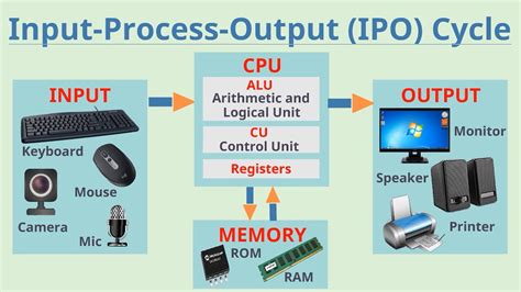 Input-Process-Output (IPO Cycle) | Learn about Input-Process-Output ...