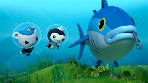 BBC iPlayer - Octonauts - Series 5: 1. Blue Fin Tuna