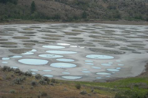 Canada's Spotted Lake - Lake Scientist