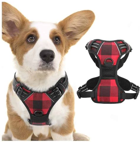 7 Best Small Dog Harnesses: Little Guys Rule (2023 Buyers Guide) - gentledogtrainers.com.au