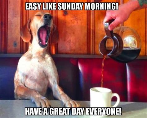 11 Funny Sunday Coffee Memes for 2023 – Coffee Levels