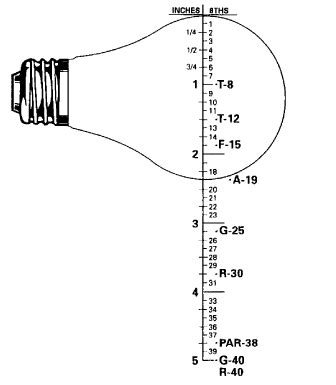 Light Bulb Base Sizes A19 / Smaller base bulbs, such as the candelabra ...