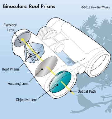 Binoculars Buying Guide | HowStuffWorks