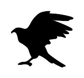 Download Eagle Silhouette Clip Art SVG | FreePNGImg