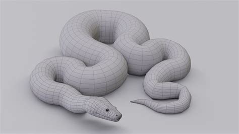 Burmese python animation 3D model - TurboSquid 1264730