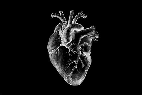 Black Heart | Heart artwork, Black paper drawing, Black heart