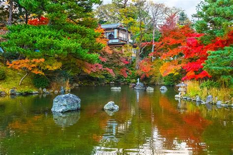 Guide to Maruyama Park | See Cherry Blossoms & Explore Gion in Kyoto