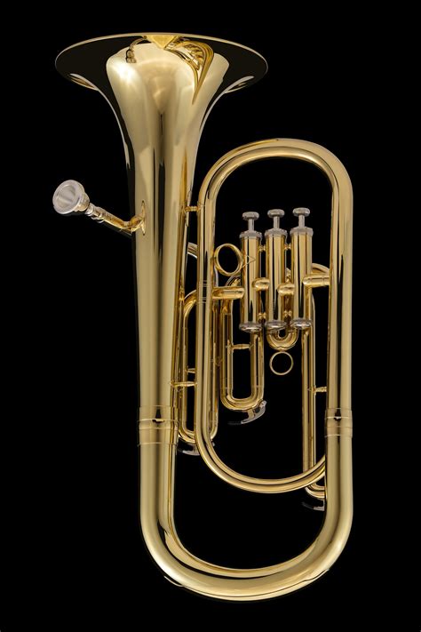 Bb Baritone (student) – BR12 – Wessex Tubas