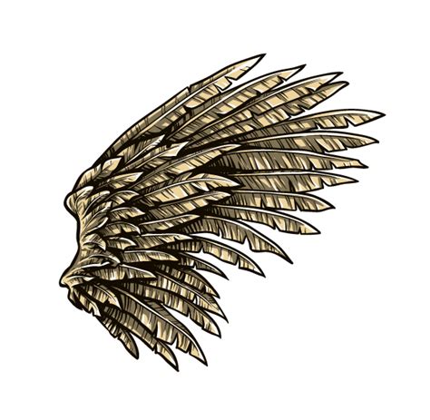 Hawk Wings Drawing | Free download on ClipArtMag