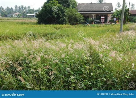 Countryside farm house stock image. Image of outdoor, house - 1810287