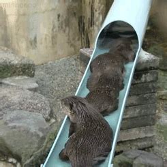 26 things you will get because of your friends - Gallery | Otters ...