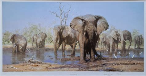 David Shepherd, signed, prints, happy time, elephants