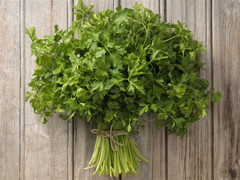 Potential Benefits And Uses Of Parsley | Healthy Foods Mag