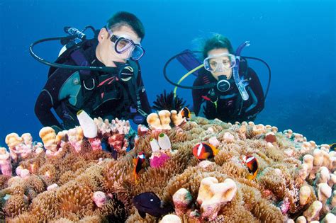 10 Ways to Experience the Great Barrier Reef