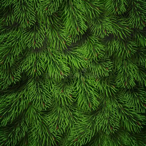 Realistic Christmas Tree Branches Background. Detailed Christmas Tree Branches Background. Green ...