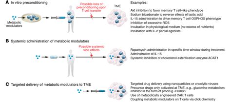 Metabolic interventions in cancer immunotherapy. Three main scenarios... | Download Scientific ...