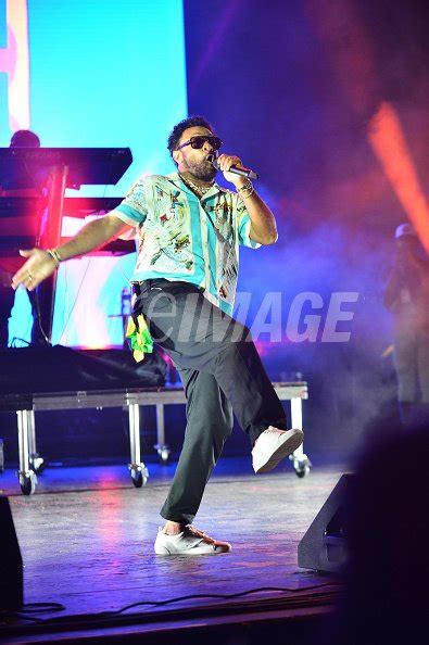 Shaggy performs live on stage during Hot Summer Night concert at FPL... | WireImage Australia ...