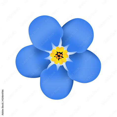 Forget me not flower blossom. Blue flower. Vector illustration Stock Vector | Adobe Stock