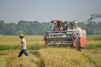 farmlandgrab.org | Myanmar allows up to 80% of foreign investment in agriculture sector