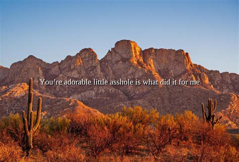 Sunset light on the Santa Catalina Mountains, Arizona : r/GWCOEPBot