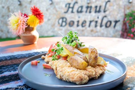 HANUL BOIERILOR - NEGRESTI | Romanian cuisine near me | Book now