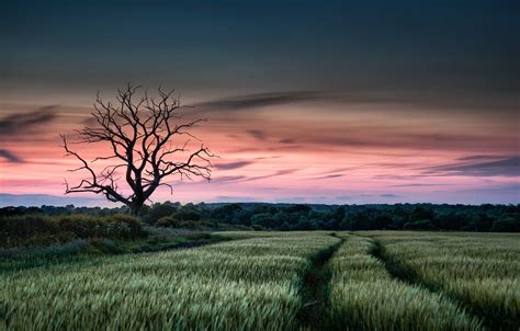 The Ultimate Guide to Summer Landscape Photography