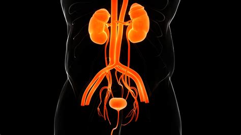 Understanding Urethritis and its symptoms, causes