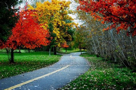 Fall Foliage (quality, shot, pictures, photos) - Photography ... | Fall Colors | Boise river ...