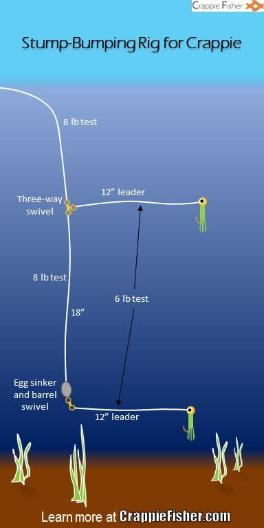 Stump bumping rig to use when jigging for crappie | Bass fishing tips, Crappie, Crappie fishing