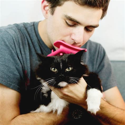 Licki Brush - Cat Grooming Tongue Brush