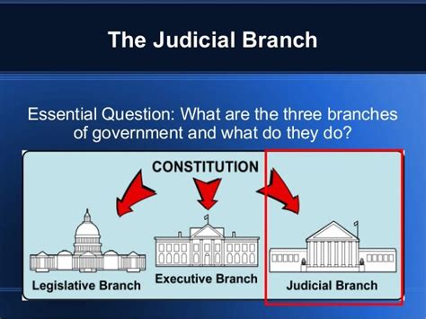 Judicial branch