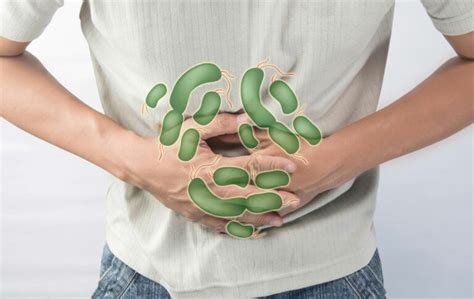 H. pylori Infection – Causes, risk factors, and complications » InsightMania.net | Discover New ...