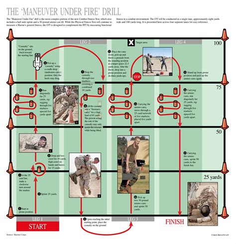 Usmc Cft Score Chart 2025 - Nelle Yalonda