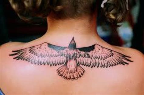 Hawk Tattoos And Meanings-Hawk Tattoo Designs And Ideas-Hawk Tattoo ...