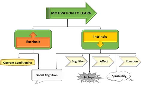 11.4 Motivation for Learning – Theories of Individual and Collective Learning