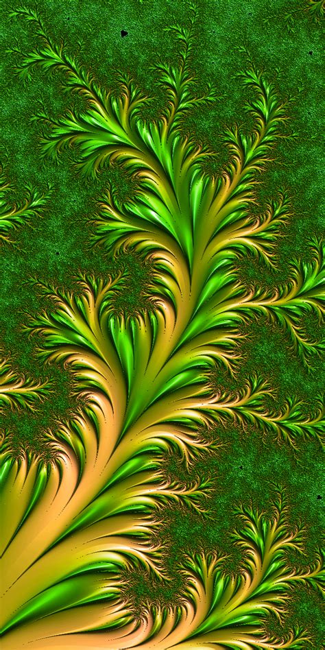 another fractal art nature inspired : r/fractals