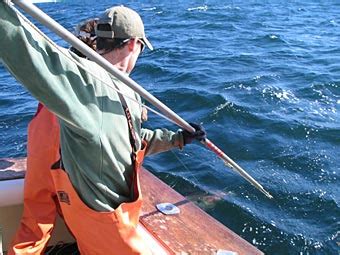 Castafari Sport Fishing & Deep Seas Fishing: News. Cape Cod, Massachusetts