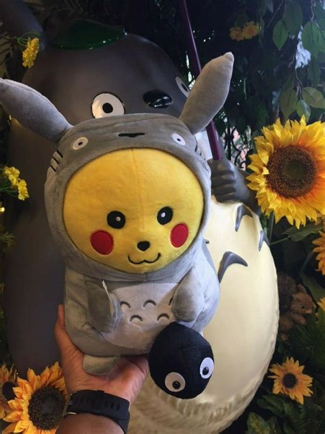 Pikachu x Studio Ghibli Totoro Plush-Costume w/dust sprite Pokemon ...