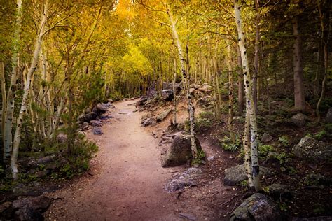 Fall Colors in Rocky Mountain National Park 2024 - Rove.me