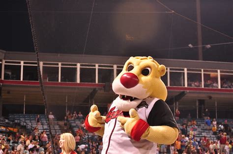 ozzy | nashville sounds mascot | kiki | Flickr