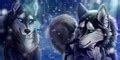 A&O anime wolf pack images .hulu HD wallpaper and background photos ...