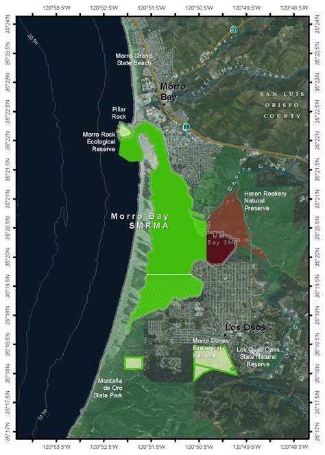 Help Put Morro Bay on the Bioblitz map: Snapshot Cal Coast 2018